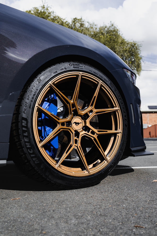 Ford Mustang DarkHorse S650 detail