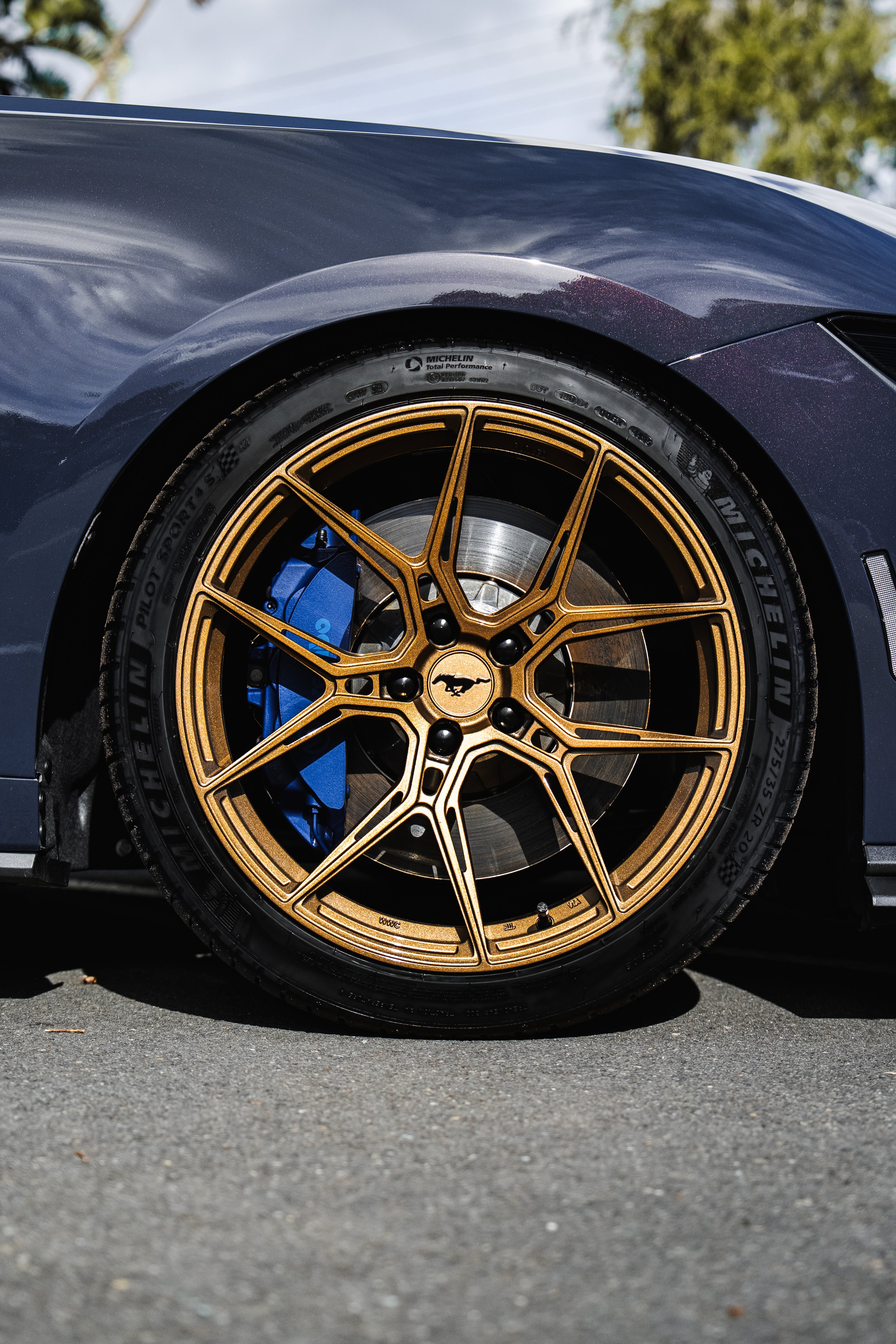 WWC StallionRS Custom Forged Wheel